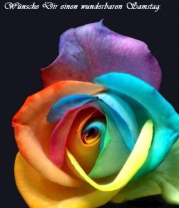 4f1c86b434bc753bb2fd02dd0