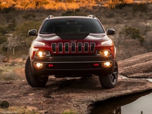 Jeep (46)